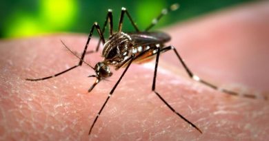 Salud Pública emite alerta en 27 provincias del país ante brote de dengue Salud Pública emite alerta en 27 provincias del país ante brote de dengue