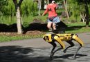 Singapur despliega un perro-robot para mantener la distancia social Singapur despliega un perro-robot para mantener la distancia social